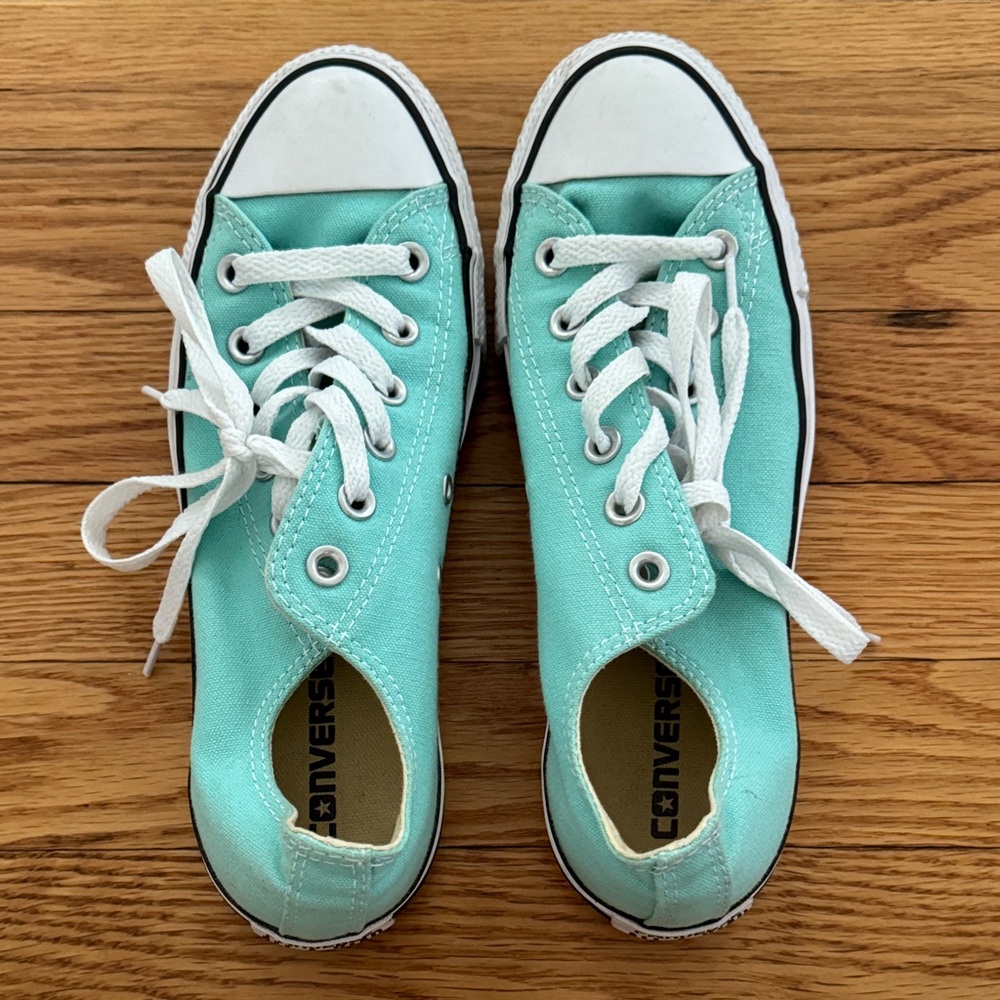 Converse Aqua Low-Top Shoes